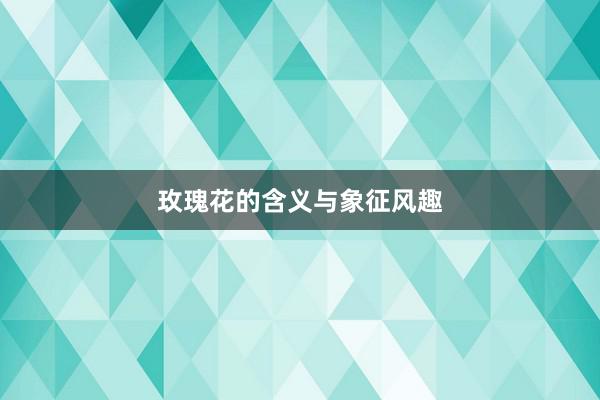 玫瑰花的含义与象征风趣
